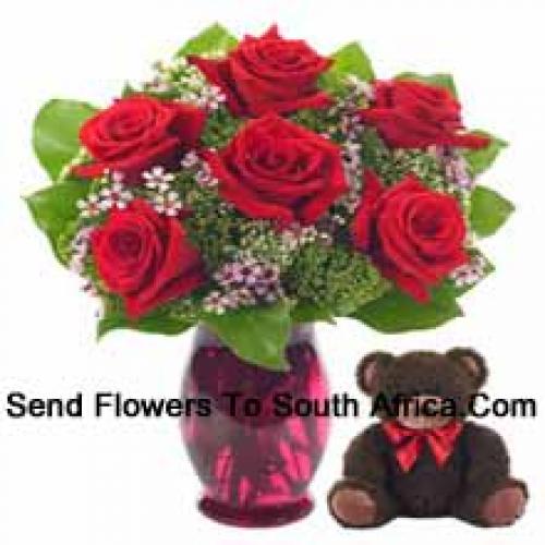 6 Red Roses with Cute 14 Inch Teddy