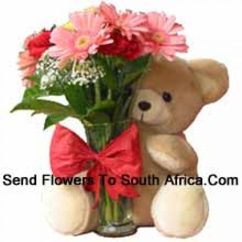 12 Red Carnations and Pink Gerberas with Teddy