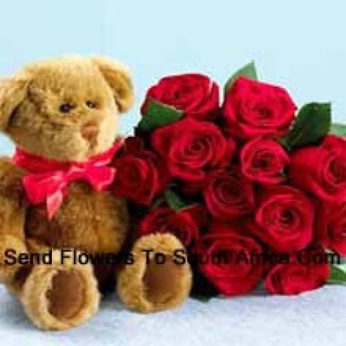 Brown Teddy with Lovely 12 Roses