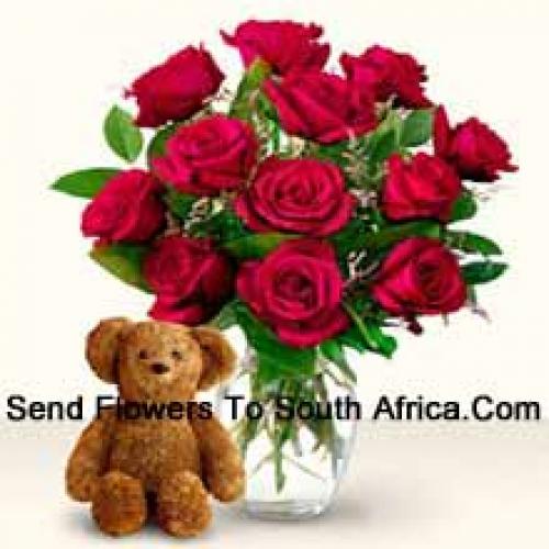 12 Red Roses with Cute 12 Inch Teddy