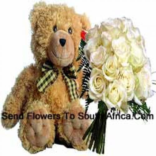 18 Weiße Rosen mit 14 Zoll Teddy