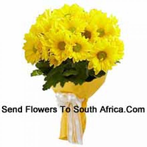 Cool 18 Yellow Gerberas