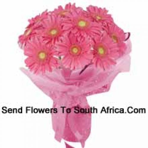 12 Pink Gerberas hand Bunch