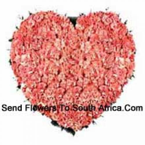 100 Pink Heart Carnations