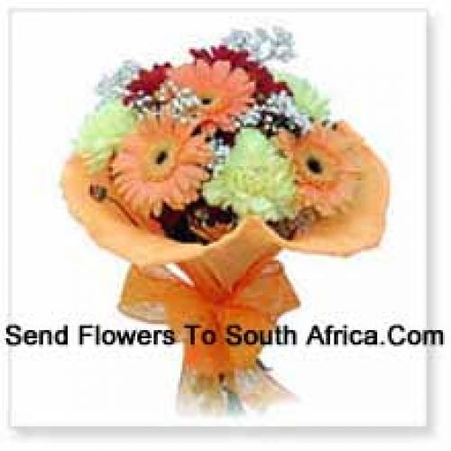 10 Assorted Cute Gerberas