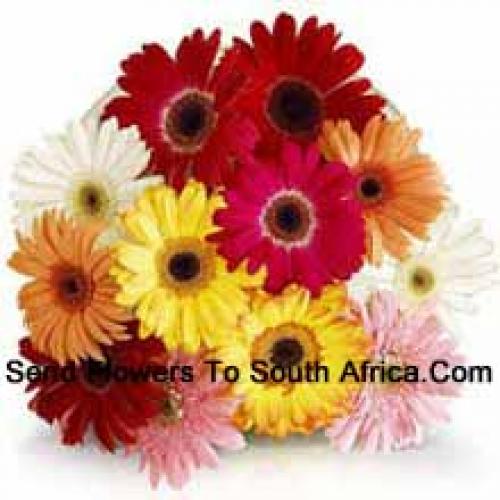 12 Assorted Gerbera's met Vullers