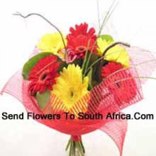 Cute Mixed Gerberas