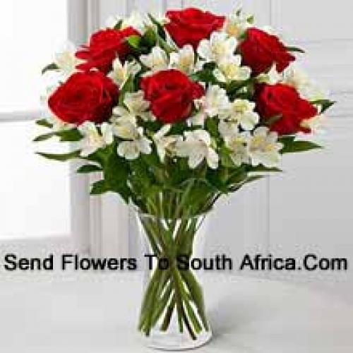 Elegant 6 Red Roses 