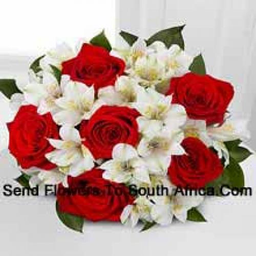 6 Beautiful Red Roses with Fillers