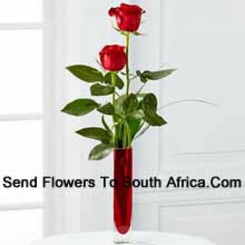 2 Sweet Red Roses in Vase