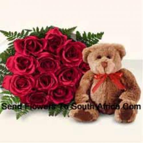 12 Rote Rosen mit niedlichem braunen Teddy